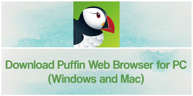 Download Puffin Web Browser for PC (Windows and Mac)